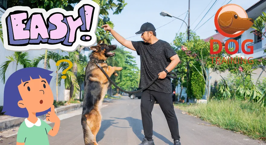 Научете куче в 7 стъпки да стои