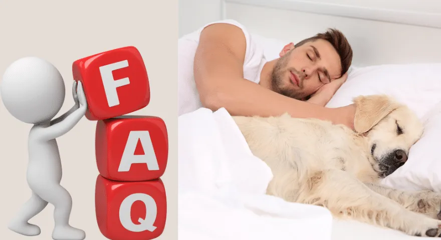 Często zadawane pytania W jaki sposób pies wybiera, z kim chce spać