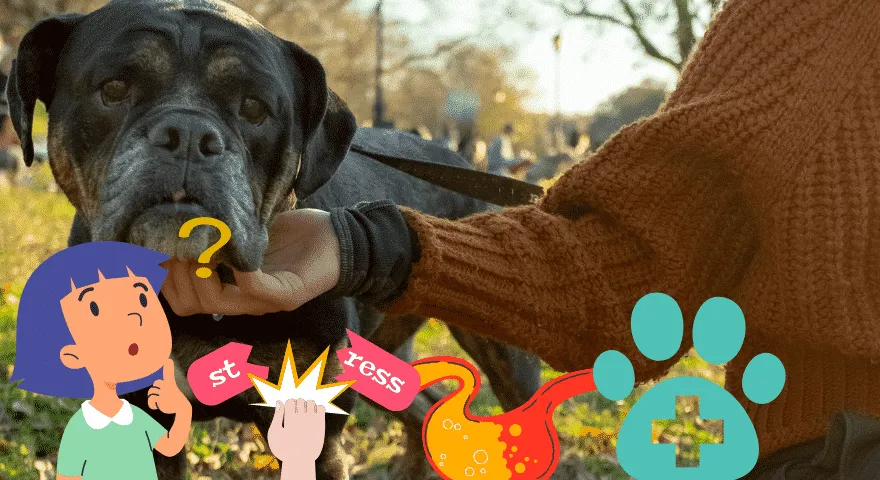 Pies dziwnie się zachowuje i je trawę