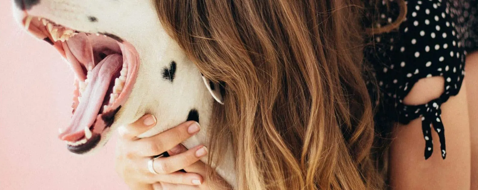 Perché il tuo cane si comporta in modo strano dopo la toelettatura