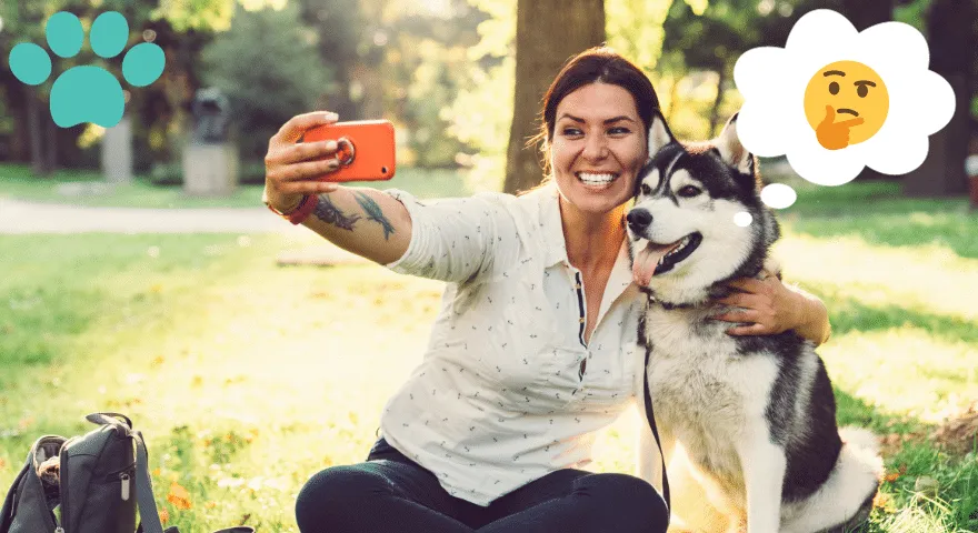 Znaki, da vaš pes poskuša komunicirati z vami