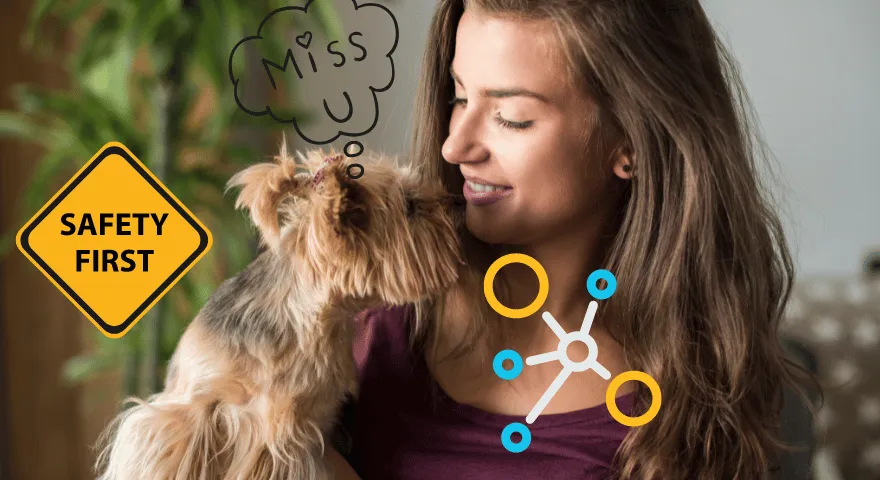 Psy zawsze muszą być tak blisko