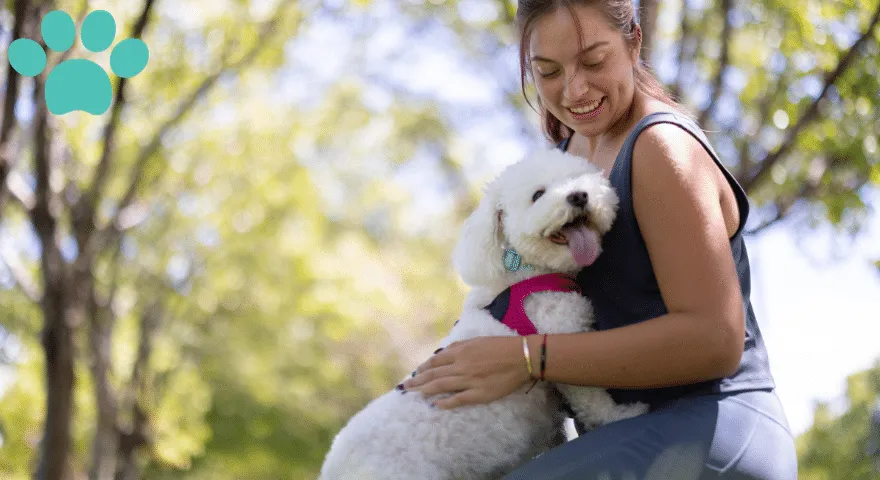 Zarządzanie agresją strachową u małych ras