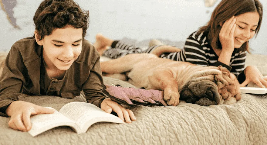 Rzeczy, które właściciele psów mogą zrobić, aby powstrzymać chrapanie psa' title='Dlaczego psy chrapią? Typowe powody.