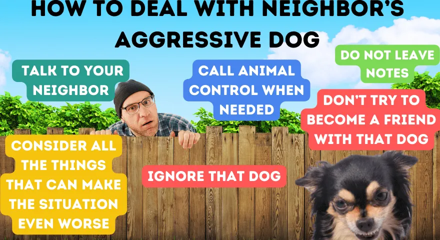 Kako se nositi sa susjedovim agresivnim psom