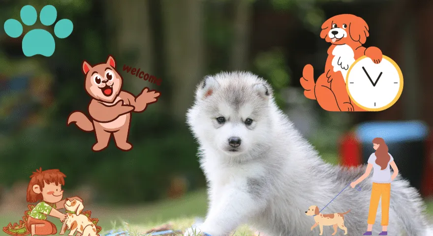 Nadmierne pobudzenie u szczeniąt' title='Jak uspokoić nadmiernie podekscytowanego szczeniaka: obszerny przewodnik