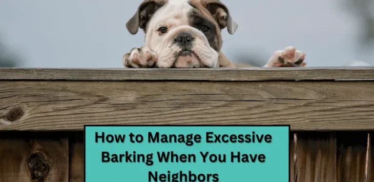 Cómo controlar los ladridos excesivos cuando tienes vecinos