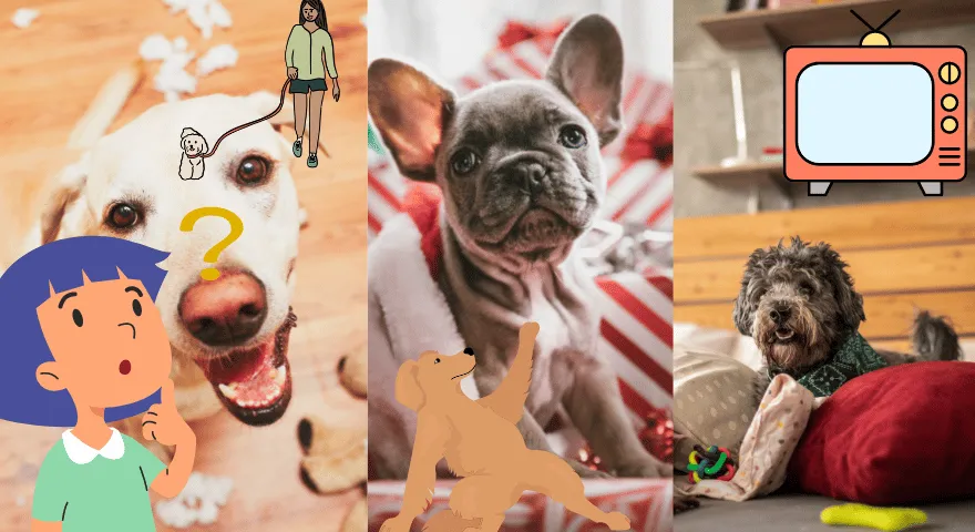 Rzeczy, które możesz zrobić, aby Twojemu psu łatwiej było być samemu