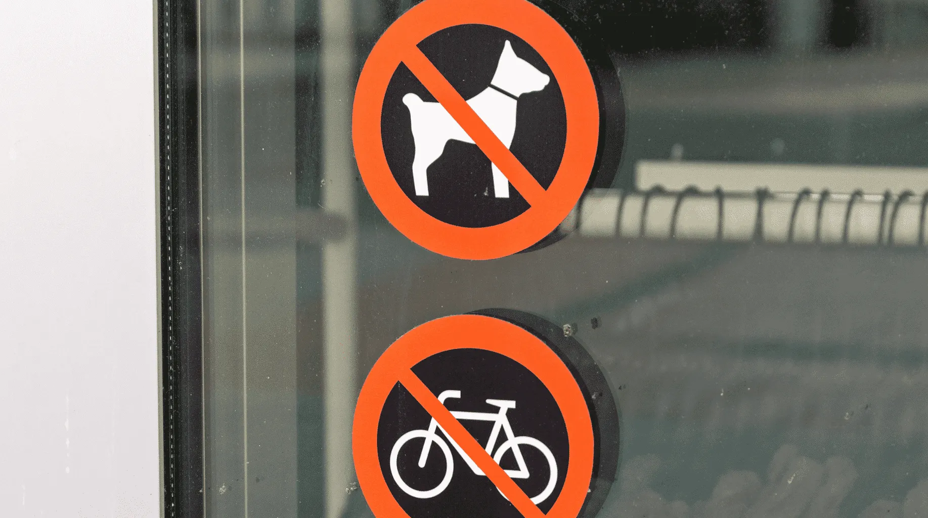 Wie man mit Einschränkungen der Hunderasse umgeht