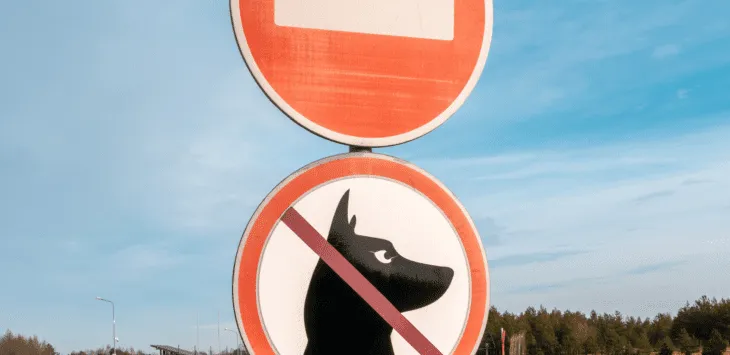 Wie man mit Einschränkungen der Hunderasse umgeht