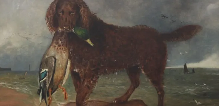 Išnykusios šunų veislės – 9, kurių tikriausiai nežinojote