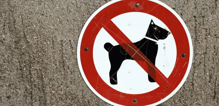 Расе паса обично су забрањене за станове