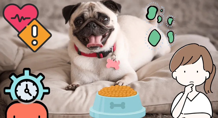 Combien de temps vivent les carlins