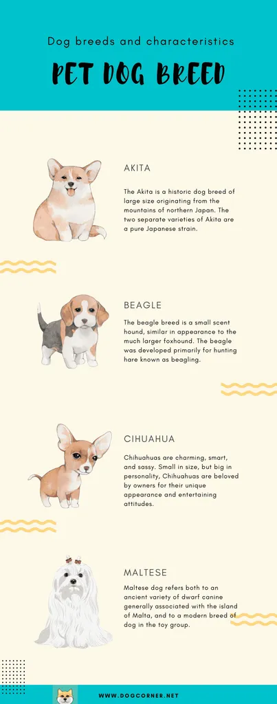 Ile jest ras psów' title='Ile jest ras psów