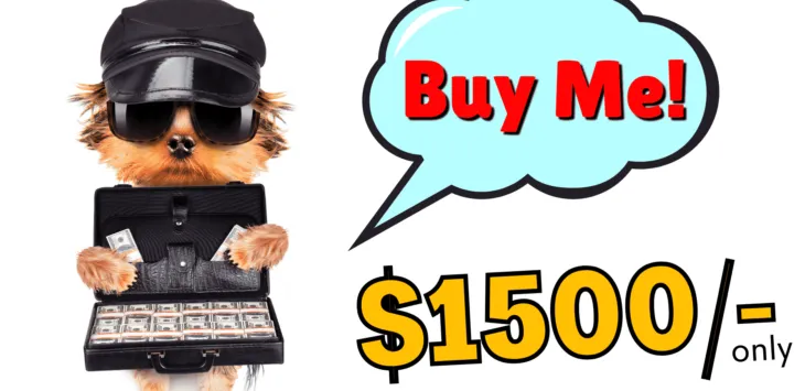 Przegląd cen szczeniąt