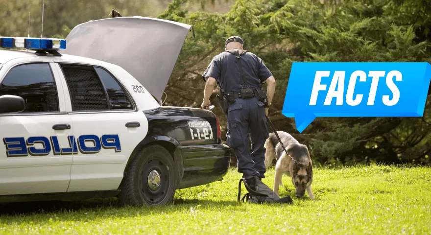 Sú policajné psy kastrované a kastrované