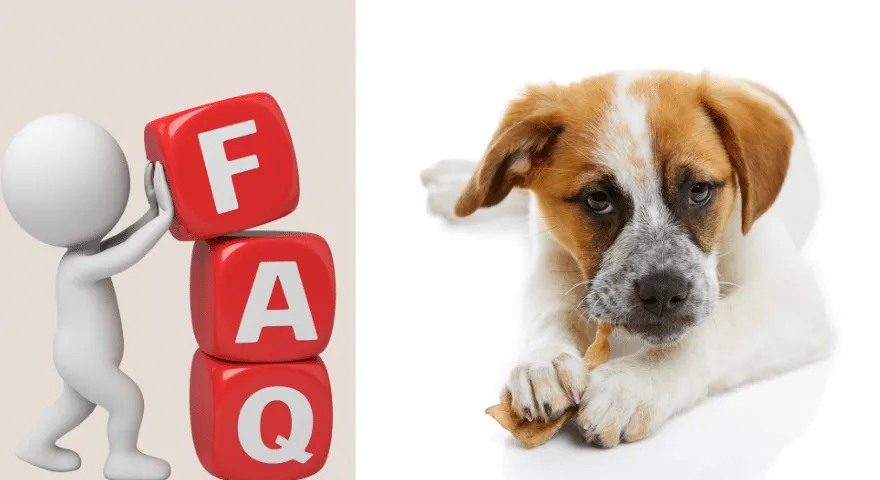 ¿Cuánto tiempo tarda el cuero crudo en digerirse en las preguntas frecuentes de los perros?