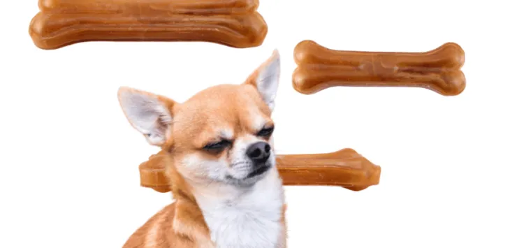 ¿Cuánto tiempo tarda el cuero crudo en digerirse en un perro?