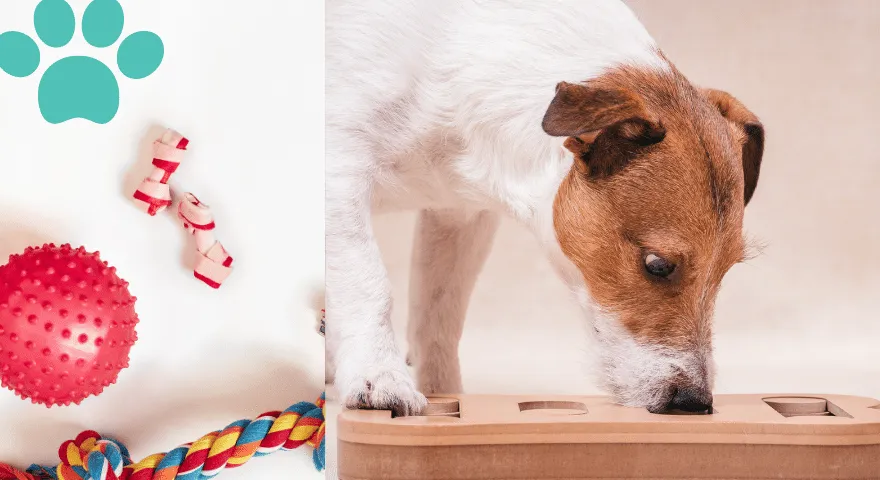 hund interaktiva leksaker och pussel