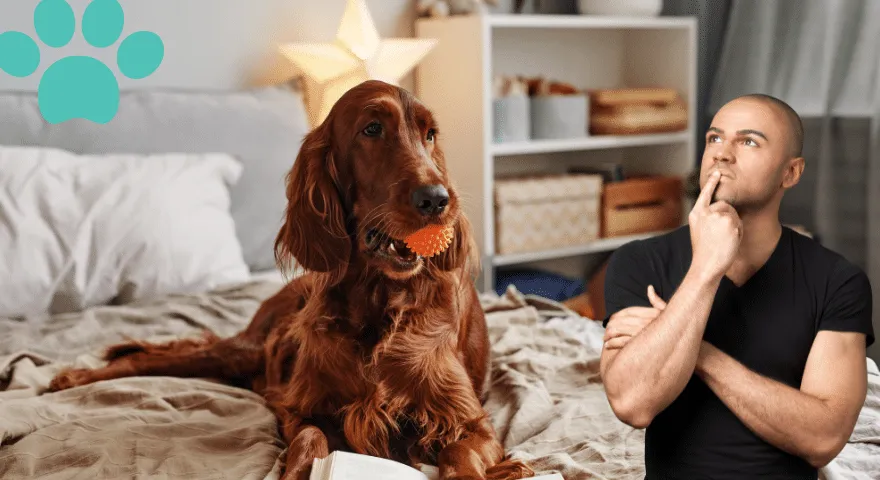 Припрема вашег дома за другог пса