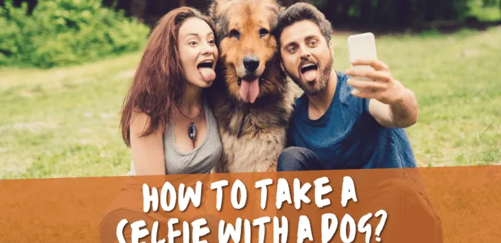 Jak zrobić selfie z psem?