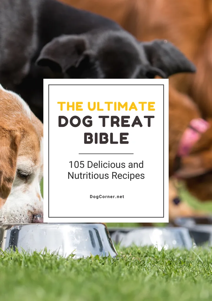 Kompletny przewodnik po przyjęciach urodzinowych dla psów