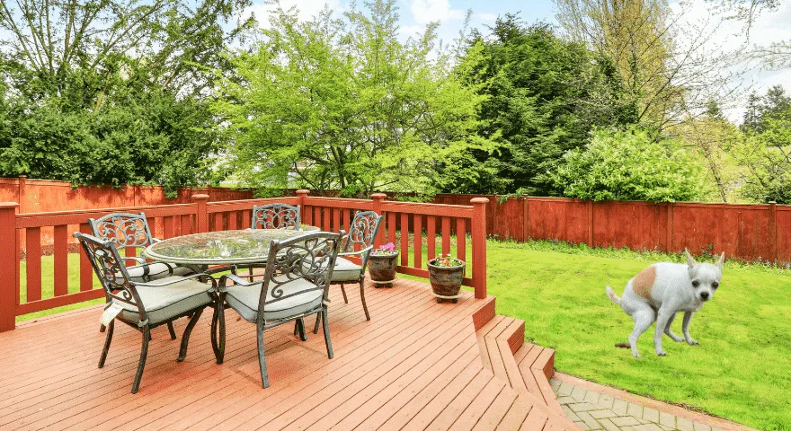 Kouluta koirasi käyttämään kakkavyöhykettä