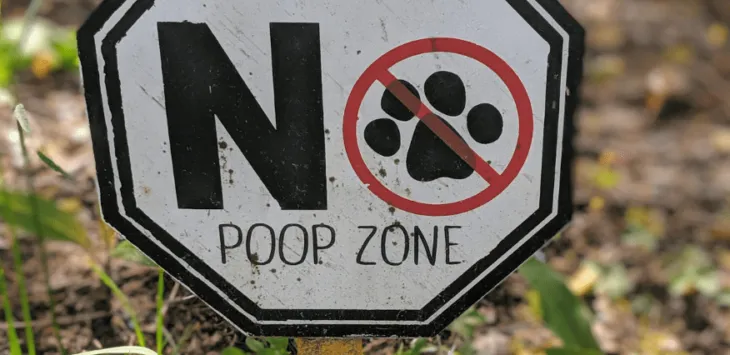 8 conseils pour empêcher les chiens de faire caca dans votre jardin