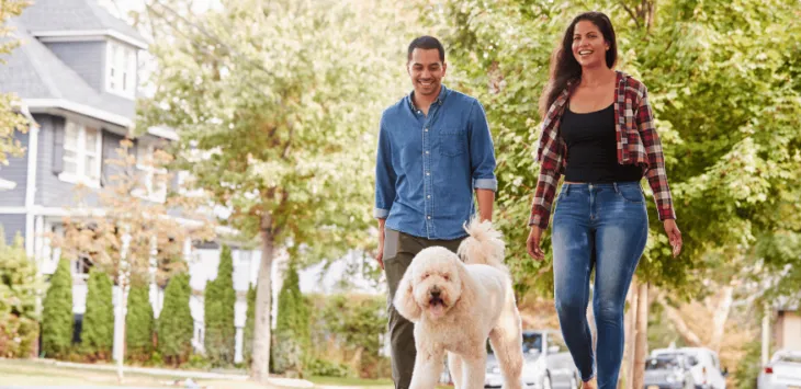 Kaj je treba in česa ne smete sprehajati s psom