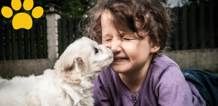 Opanowanie zabawy ze szczeniakami: przewodnik, jak bawić się ze szczeniętami