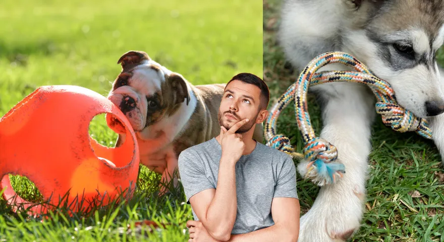 Bezpieczne zabawki do żucia dla ząbkujących szczeniąt' title='Jak uspokoić ząbkującego szczeniaka w domu?