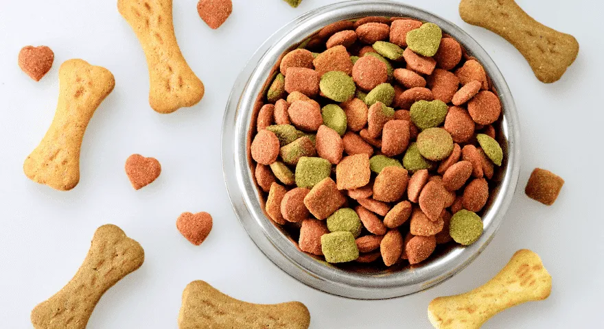 wysokiej jakości karma dla psów