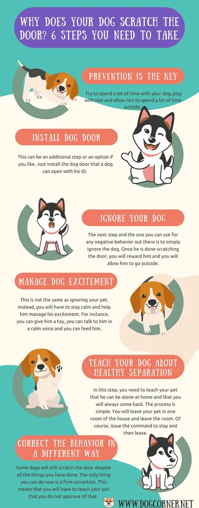 Kodėl jūsų šuo braižo duris