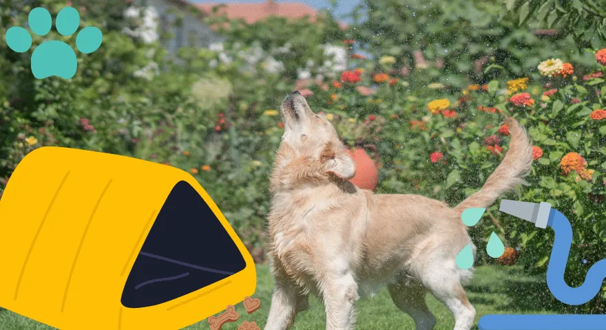 Vytváření herních a odpočinkových oblastí