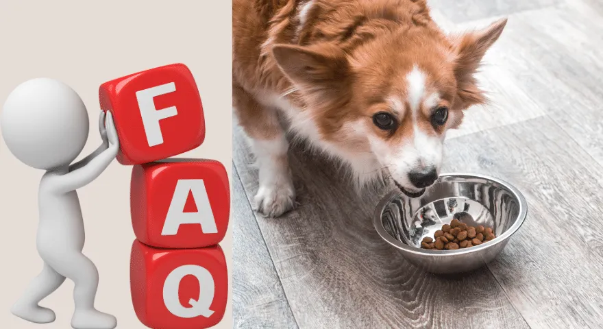 よくある質問 犬はどのようにして呼吸と食事を同時に行うのか