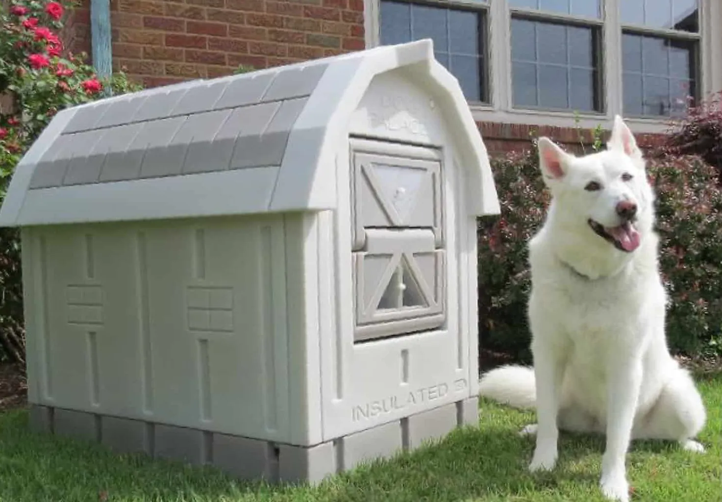 Jak zaizolować plastikowy domek dla psa