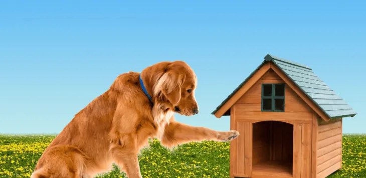 Hogyan szigeteljünk műanyag kutyaházat profi módon