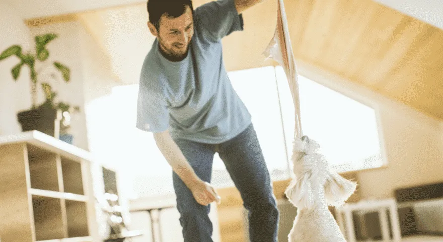 Kako usposobiti psa za skakanje