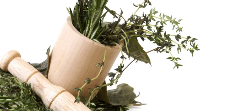 10 niesamowitych, naturalnych, domowych środków zaradczych dla zwierząt domowych