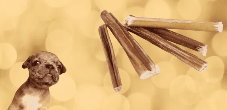 Pot cățeii să aibă bățoșe?