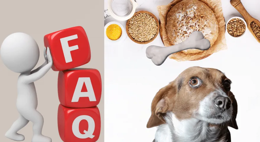 よくある質問 高齢犬のための穀物不使用食の利点