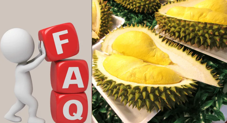 Czy psy mogą jeść duriana?