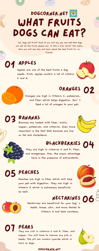 Früchte, die Hunde essen können