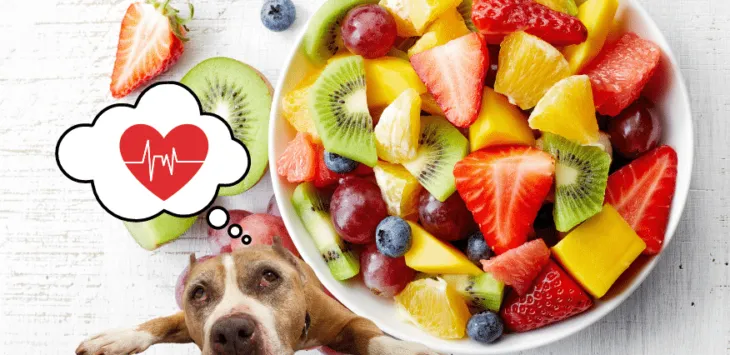 개는 과일을 먹을 수 있습니까?