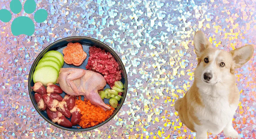 Potencjalne korzyści diety surowej żywności dla małych ras