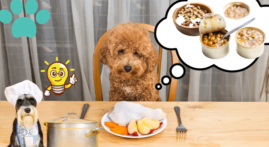 Alternatywy dla diety surowej żywności