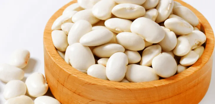 Voivatko koirat syödä limapapuja?