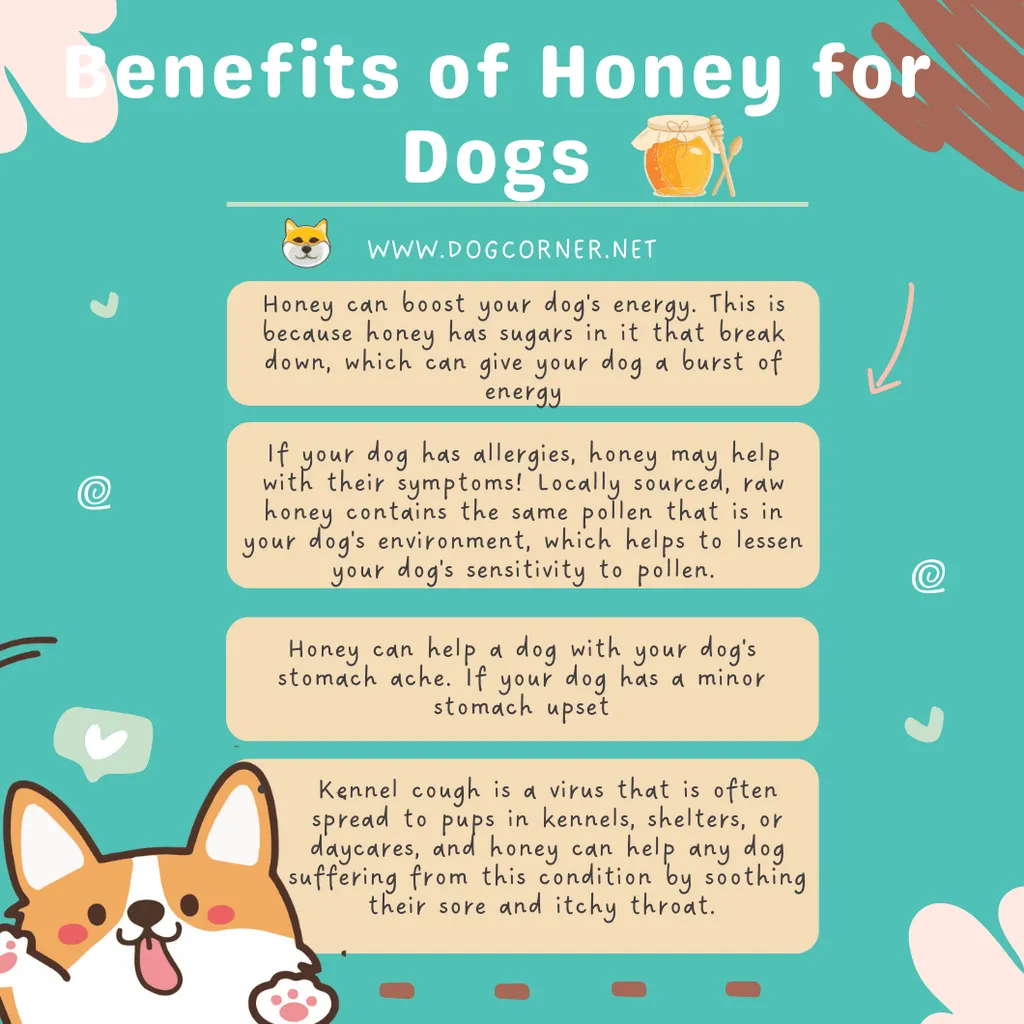 Prednosti meda za pse