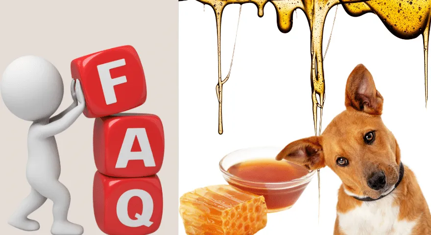 Često postavljana pitanja o psima koji jedu med