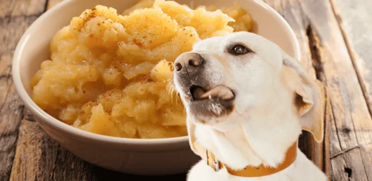 Czy psy mogą jeść mus jabłkowy?